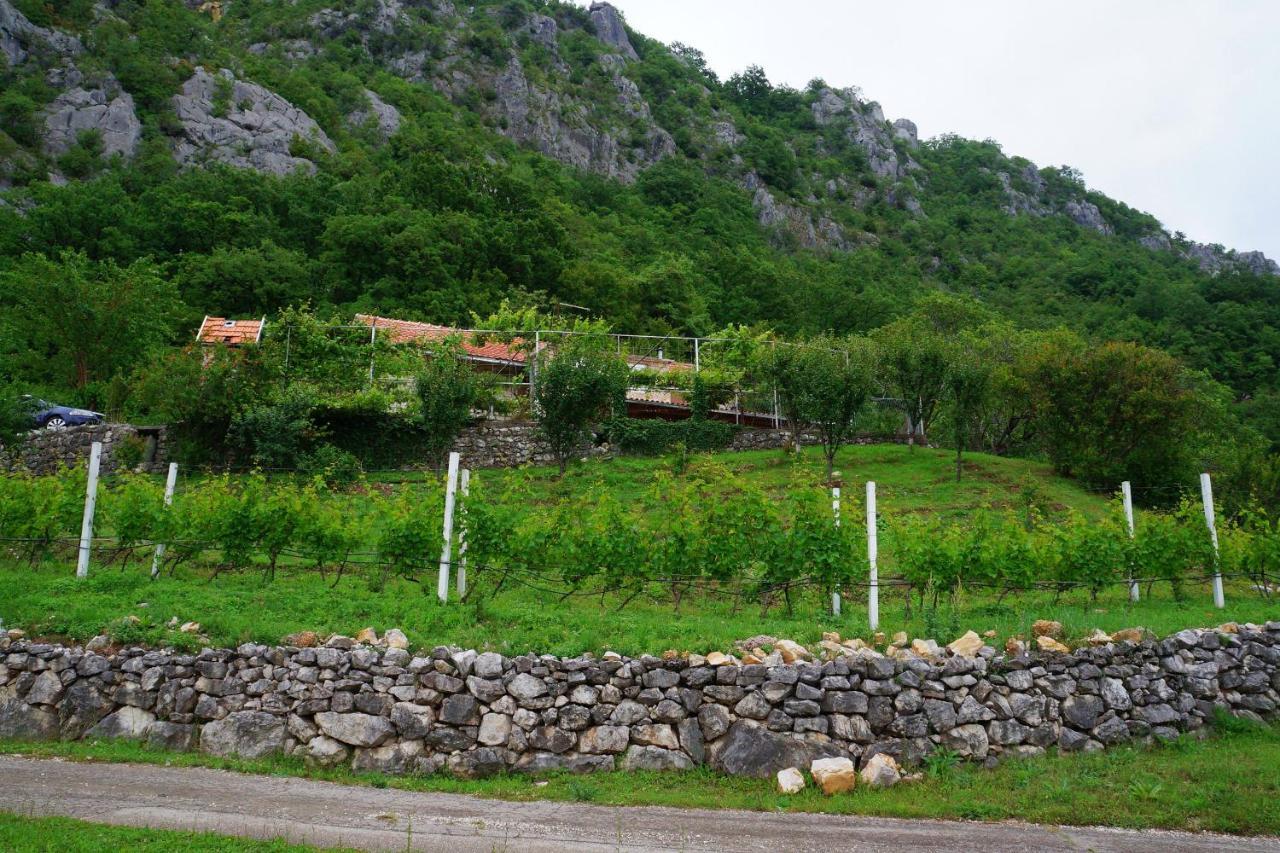 Ferienwohnung Old House Kontic Nikšić Exterior foto